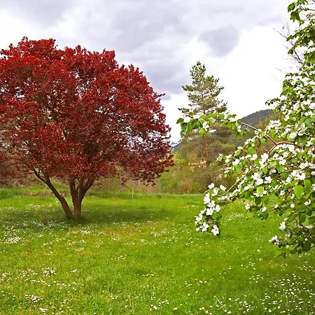 Rural Salut - Cal Peguera, Casa De Cuento En Medio Del Bosque Vakantiehuis *